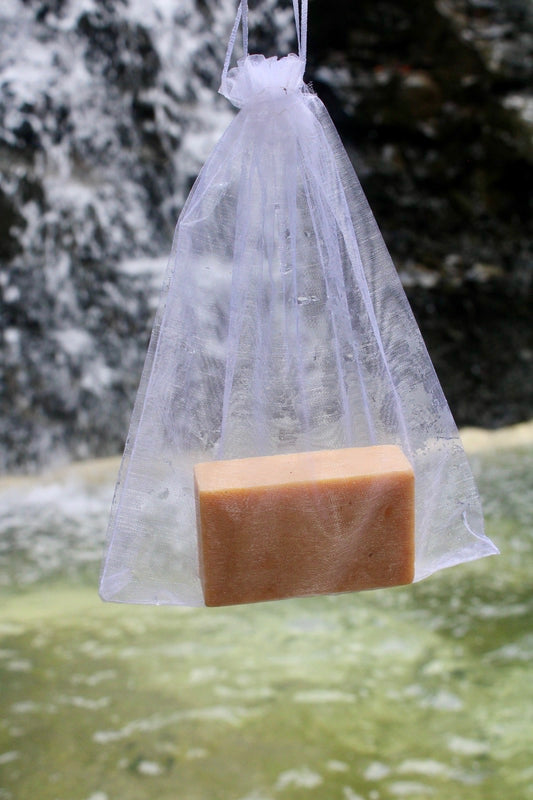 Savon Cardamone et Gingembre