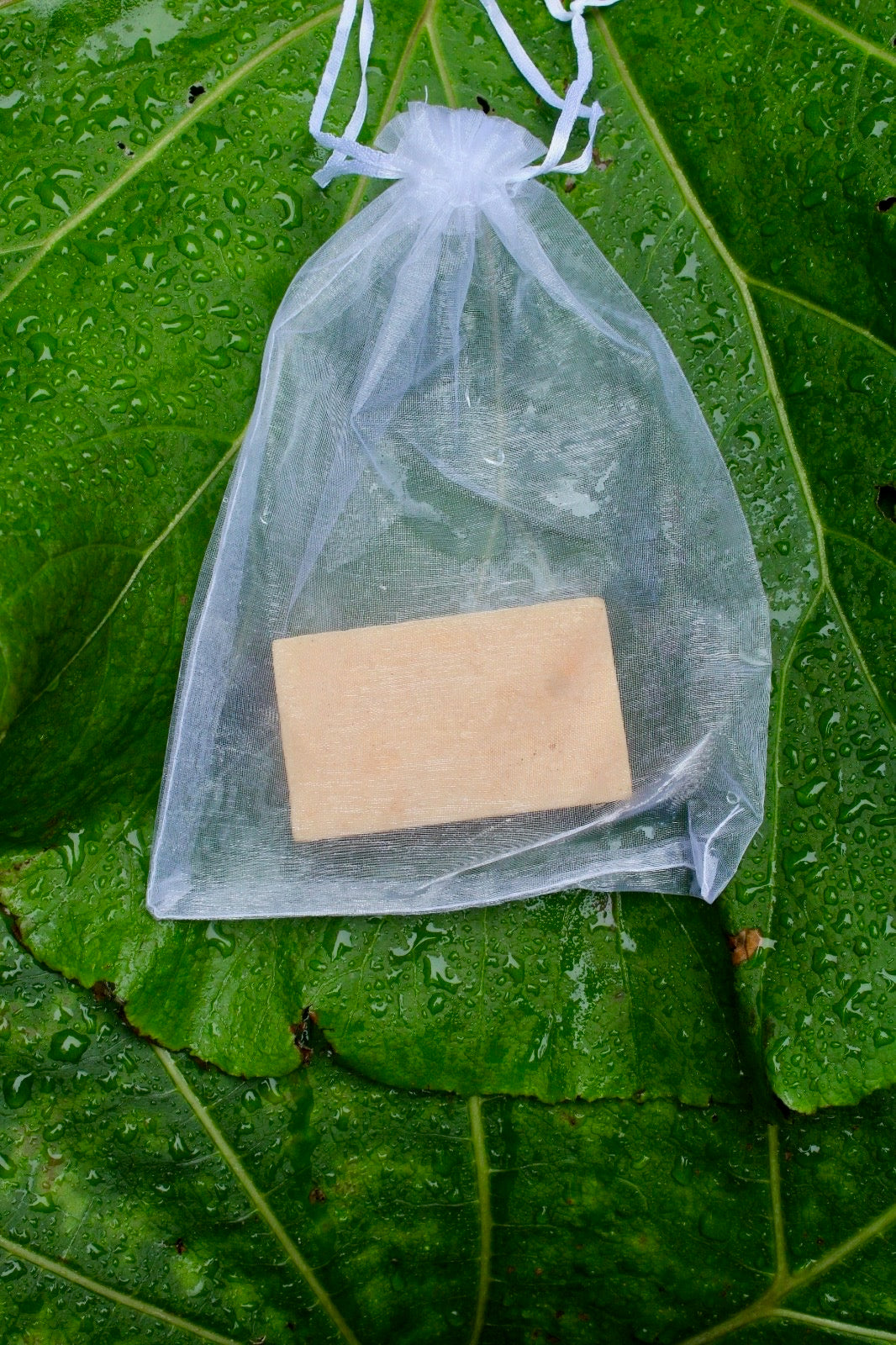 Savon Cardamone et Gingembre
